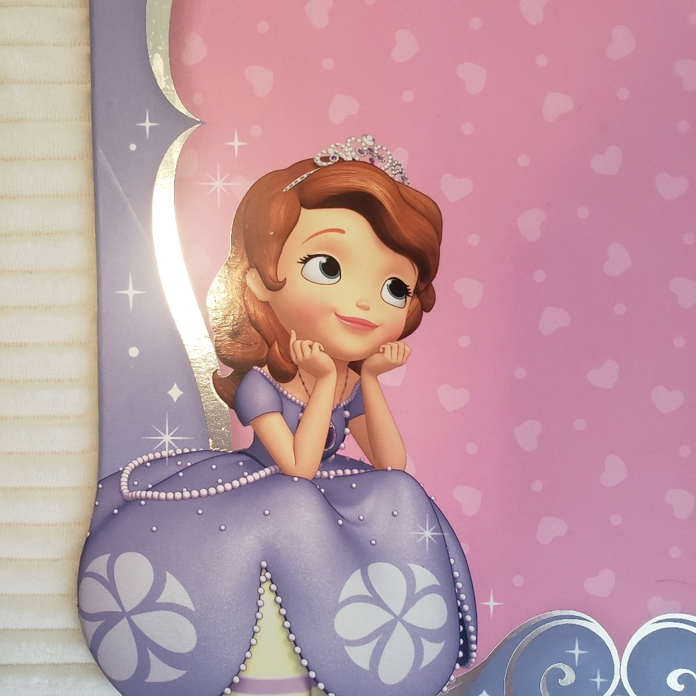 Disney Sofia The First Pink & Purple Themed Hanging Magnet Memo Board - Picture 6 of 14